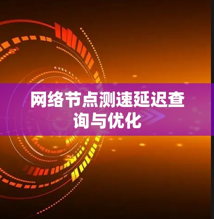 网络节点测速延迟查询与优化