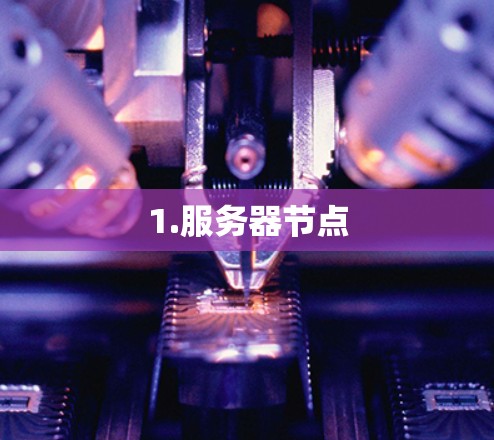 1.服务器节点 1.服务器节点