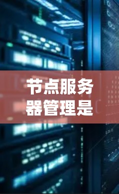 节点服务器管理是一个复杂的系统工程，涵盖从启动节点到维护和扩展多个节点的各个方面。以下是对节点服务器管理的详细指南