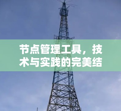 节点管理工具,技术与实践的完美结合 节点管理工具,技术与实践的完美结合