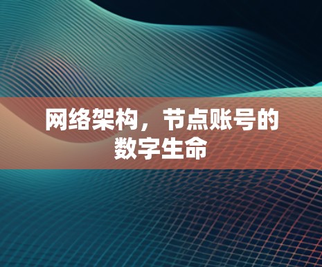 网络架构,节点账号的数字生命 网络架构,节点账号的数字生命