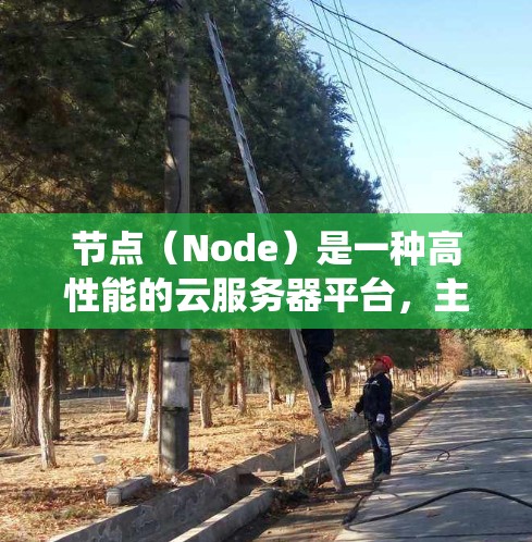 节点（Node）是一种高性能的云服务器平台，主要用于开发、部署和管理应用程序和应用服务器。节点支持多种操作系统和编程语言，能够提供高可用性和稳定性。以下是一些关键信息和建议