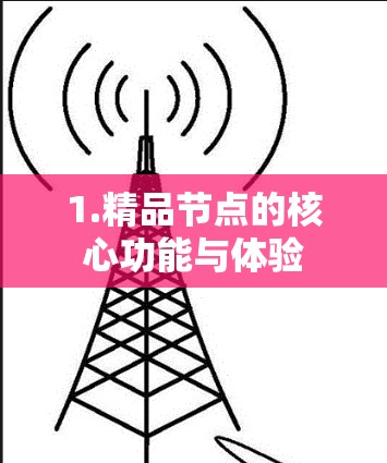 1.精品节点的核心功能与体验