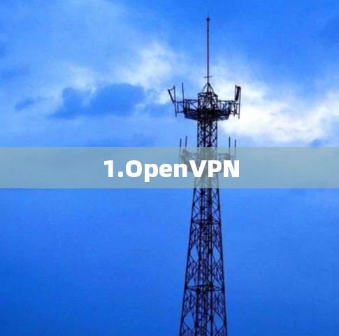 1.OpenVPN 1.OpenVPN