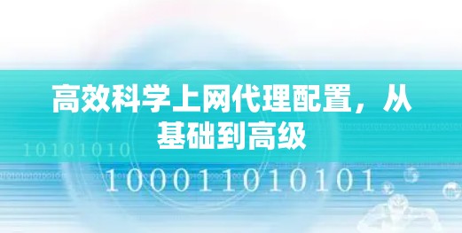 高效科学上网代理配置，从基础到高级