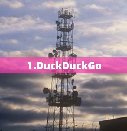 1.DuckDuckGo