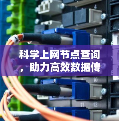 科学上网节点查询，助力高效数据传输