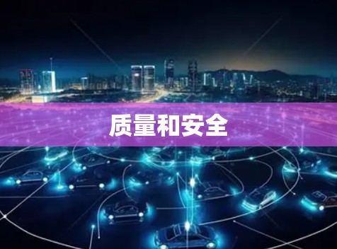 质量和安全 质量和安全