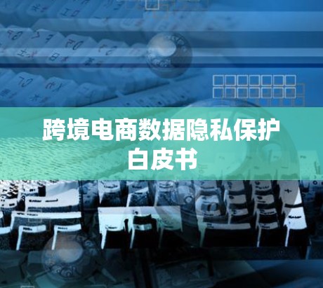 跨境电商数据隐私保护白皮书 跨境电商数据隐私保护白皮书