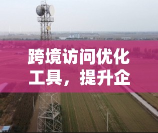 跨境访问优化工具，提升企业访问效率的颠覆性解决方案