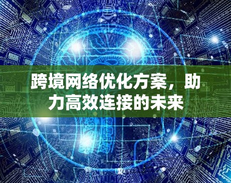 跨境网络优化方案，助力高效连接的未来