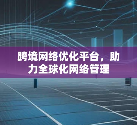 跨境网络优化平台，助力全球化网络管理