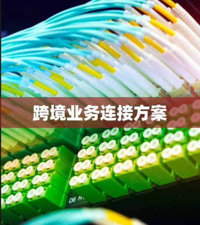 跨境业务连接方案 跨境业务连接方案