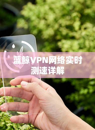 蓝鲸VPN网络实时测速详解 蓝鲸VPN网络实时测速详解