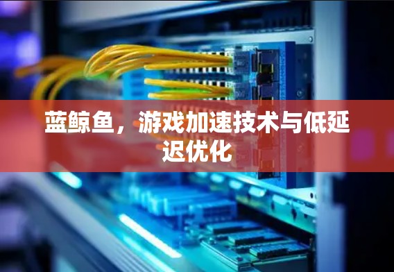 蓝鲸鱼,游戏加速技术与低延迟优化 蓝鲸鱼,游戏加速技术与低延迟优化