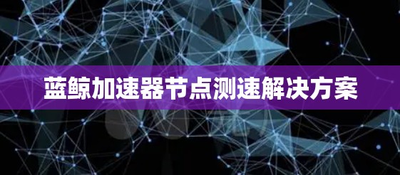 蓝鲸加速器节点测速解决方案