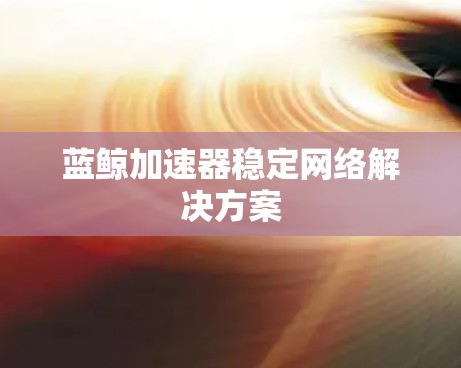 蓝鲸加速器稳定网络解决方案
