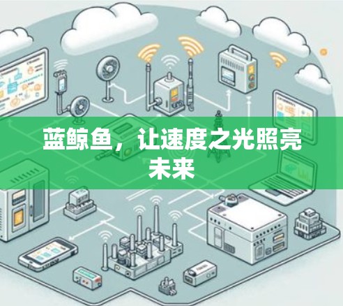 蓝鲸鱼，让速度之光照亮未来