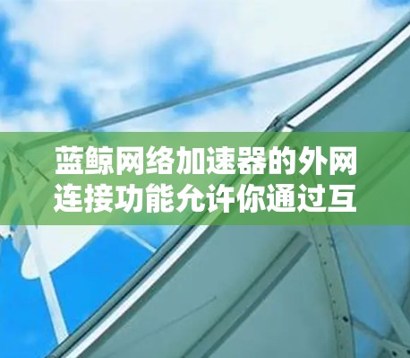 蓝鲸网络加速器的外网连接功能允许你通过互联网连接到服务器,加速下载和上传文件。以下是使用该功能的步骤 蓝鲸网络加速器的外网连接功能允许你通过互联网连接到服务器,加速下载和上传文件。以下是使用该功能的步骤