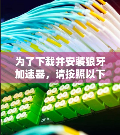 为了下载并安装狼牙加速器,请按照以下步骤操作 为了下载并安装狼牙加速器,请按照以下步骤操作