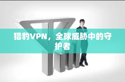 猎豹VPN，全球威胁中的守护者