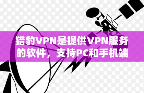 猎豹VPN是提供VPN服务的软件，支持PC和手机端。以下是关于猎豹VPN的详细介绍