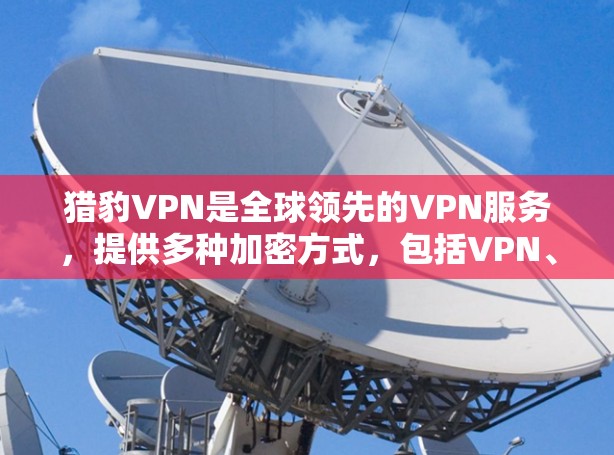 猎豹VPN是全球领先的VPN服务，提供多种加密方式，包括VPN、VPN服务器和设备。以下是使用猎豹VPN在安卓设备上进行合法、安全的下载和使用的方法