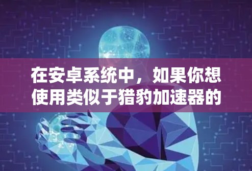 在安卓系统中,如果你想使用类似于猎豹加速器的功能,可以考虑以下几种方法