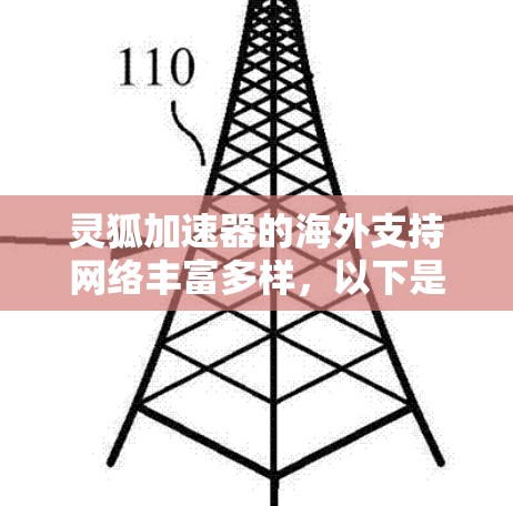 灵狐加速器的海外支持网络丰富多样,以下是一些关键信息和步骤,帮助您更好地利用这些资源