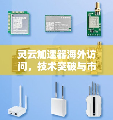 灵云加速器海外访问，技术突破与市场前景