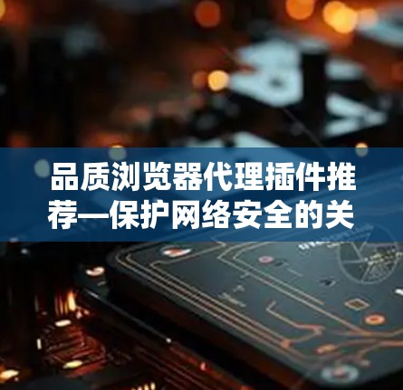 品质浏览器代理插件推荐—保护网络安全的关键工具