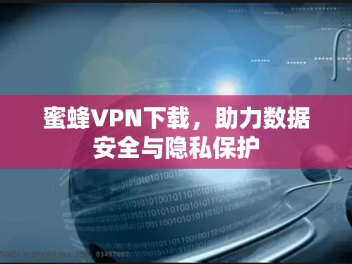 蜜蜂VPN下载，助力数据安全与隐私保护