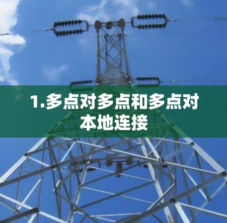 1.多点对多点和多点对本地连接 1.多点对多点和多点对本地连接