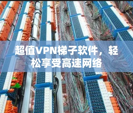超值VPN梯子软件，轻松享受高速网络