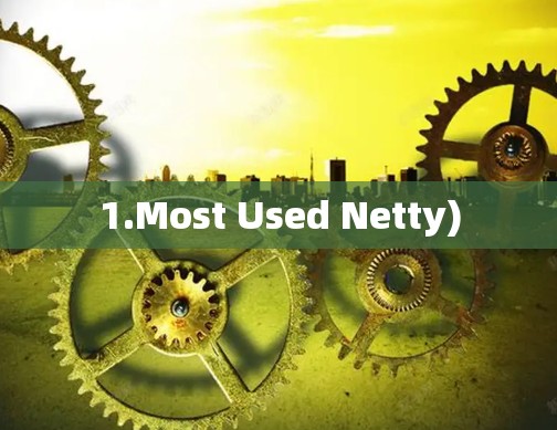 1.Most Used Netty) 1.Most Used Netty)