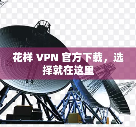 花样 VPN 官方下载，选择就在这里