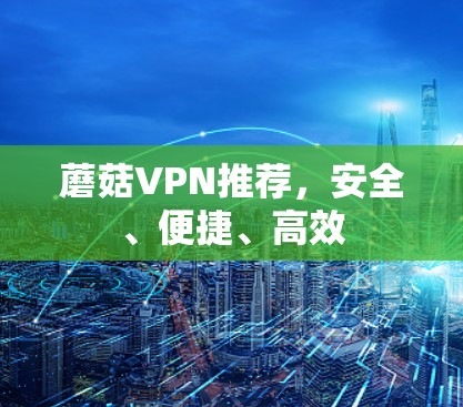 蘑菇VPN推荐，安全、便捷、高效