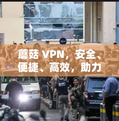 蘑菇 VPN，安全、便捷、高效，助力您的VPN体验