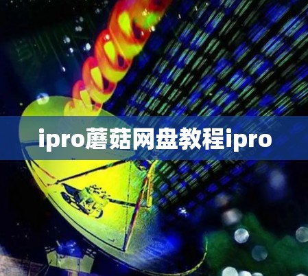 ipro蘑菇网盘教程ipro