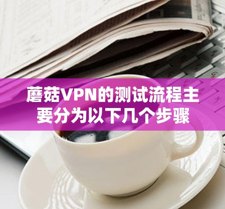 蘑菇VPN的测试流程主要分为以下几个步骤 蘑菇VPN的测试流程主要分为以下几个步骤
