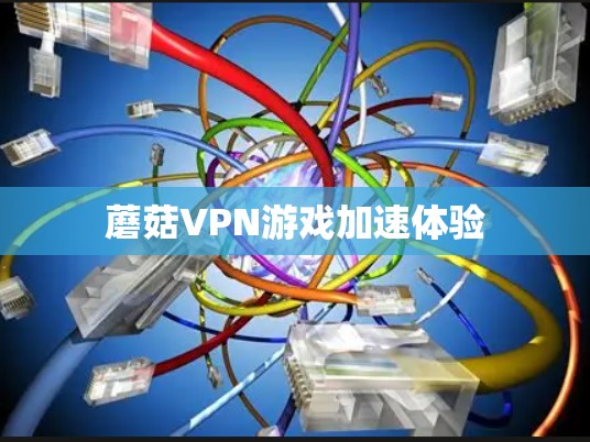 蘑菇VPN游戏加速体验 蘑菇VPN游戏加速体验