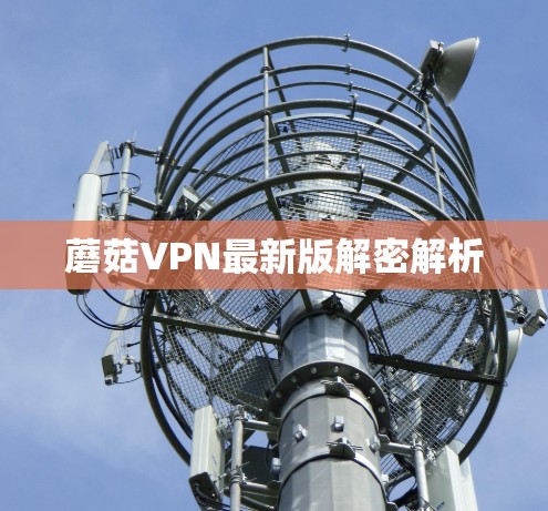 蘑菇VPN最新版解密解析 蘑菇VPN最新版解密解析