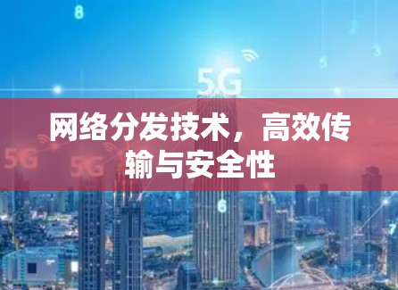 网络分发技术,高效传输与安全性 网络分发技术,高效传输与安全性