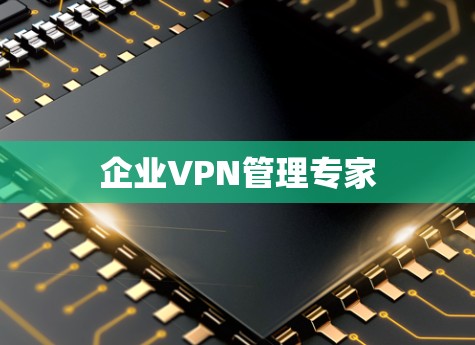 企业VPN管理专家