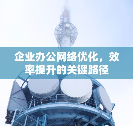 企业办公网络优化,效率提升的关键路径 企业办公网络优化,效率提升的关键路径