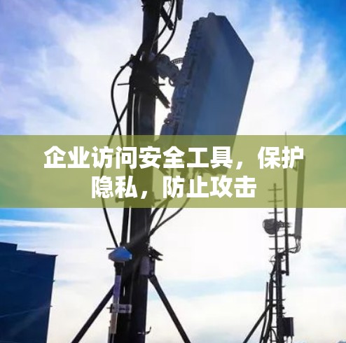 企业访问安全工具，保护隐私，防止攻击