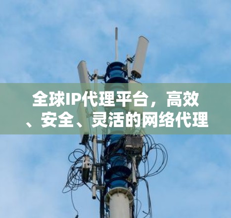 全球IP代理平台,高效、安全、灵活的网络代理解决方案