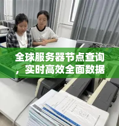 全球服务器节点查询，实时高效全面数据管理指南